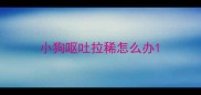 小狗呕吐拉稀怎么办