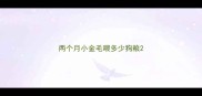 两个月小金毛喂多少狗粮