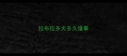 拉布拉多犬多久懂事