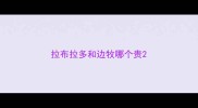 拉布拉多和边牧哪个贵