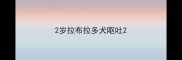 2岁拉布拉多犬呕吐