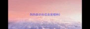 狗狗最好的疫苗是哪种