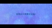 宠物店所需要的设备
