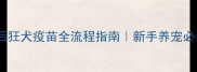 被猫抓伤三天后狂犬疫苗全流程指南新手养宠必看紧急处理攻略