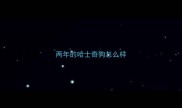 两年的哈士奇狗怎么样