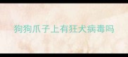 狗狗爪子上有狂犬病毒吗