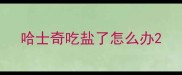 哈士奇吃盐了怎么办