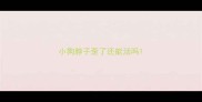 小狗脖子歪了还能活吗