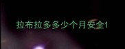 拉布拉多多少个月安全