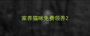 家养猫咪免费领养