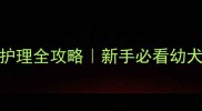 狗狗疫苗后护理全攻略新手必看幼犬养护手册