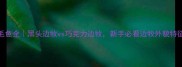 边牧毛色全黑头边牧vs巧克力边牧新手必看边牧外貌特征对比