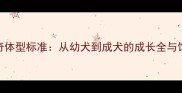 红哈士奇体型标准从幼犬到成犬的成长全与饲养指南