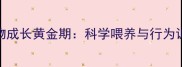 三个月宠物成长黄金期科学喂养与行为训练全攻略