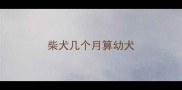 柴犬几个月算幼犬