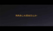 狗狗身上长黑斑怎么办