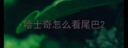 哈士奇怎么看尾巴
