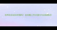 拉布拉多适合狩猎吗全攻略工作犬潜力与训练要点