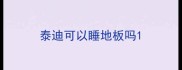 泰迪可以睡地板吗