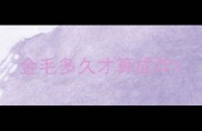 金毛多久才算成年