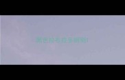 黑色拉布拉多辨别