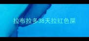 拉布拉多38天拉红色屎
