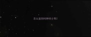 怎么鉴别纯种哈士奇