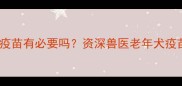 15岁老狗打疫苗有必要吗资深兽医老年犬疫苗接种全攻略