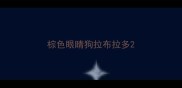棕色眼睛狗拉布拉多