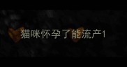 猫咪怀孕了能流产