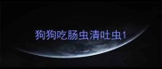 狗狗吃肠虫清吐虫