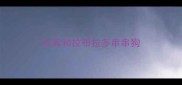 杜宾和拉布拉多串串狗