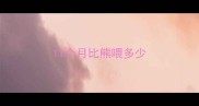 11个月比熊喂多少