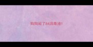 狗狗闻了84消毒液