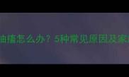 狗狗咳嗽咳到抽搐怎么办5种常见原因及家庭护理全攻略