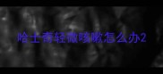 哈士奇轻微咳嗽怎么办