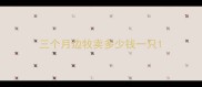三个月边牧卖多少钱一只