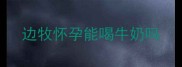 边牧怀孕能喝牛奶吗