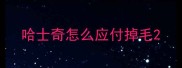 哈士奇怎么应付掉毛
