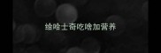 给哈士奇吃啥加营养