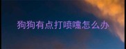 狗狗有点打喷嚏怎么办