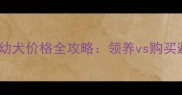 拉布拉多幼犬价格全攻略领养vs购买避坑指南