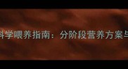 五个月藏獒科学喂养指南分阶段营养方案与养护全攻略