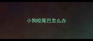 小狗咬尾巴怎么办