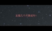 龙猫几个月算成年