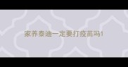 家养泰迪一定要打疫苗吗