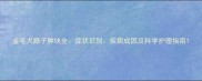 金毛犬脖子肿块全症状识别疾病成因及科学护理指南