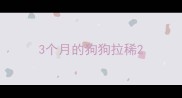 3个月的狗狗拉稀