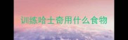 训练哈士奇用什么食物