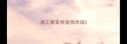湛江哪里有宠物市场